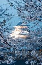 怎样知道足球比分-掌握实时动态，多途径揭秘怎样知道足球比分
